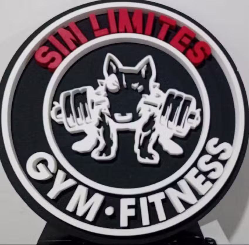 Gym Sin L&iacute;mites