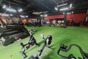 Heed Physique Paseo Rivera