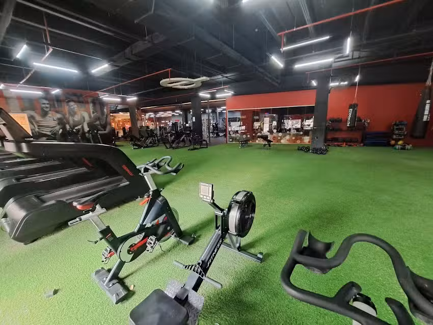 Heed Physique Paseo Rivera