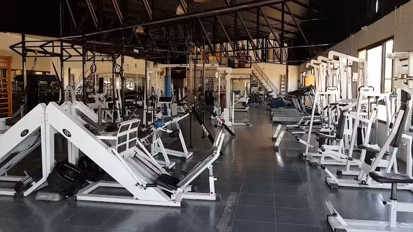 Hulk Gym Mega