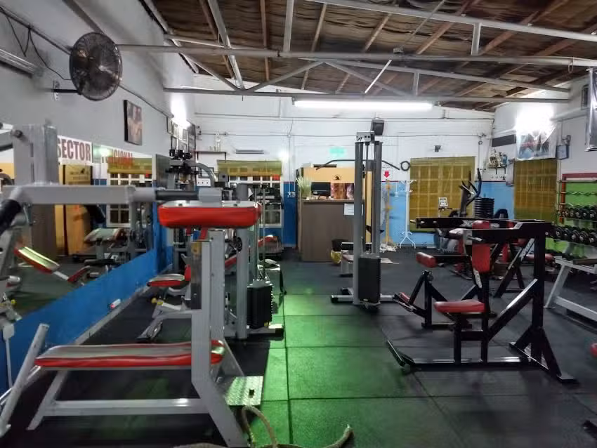 IMPULS&Oacute; GYM ( caleta olivia ) norberto alejandro gomez