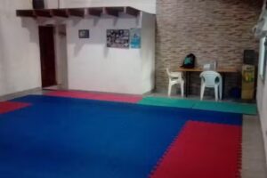 Instituto Taekwondo ITF Zen