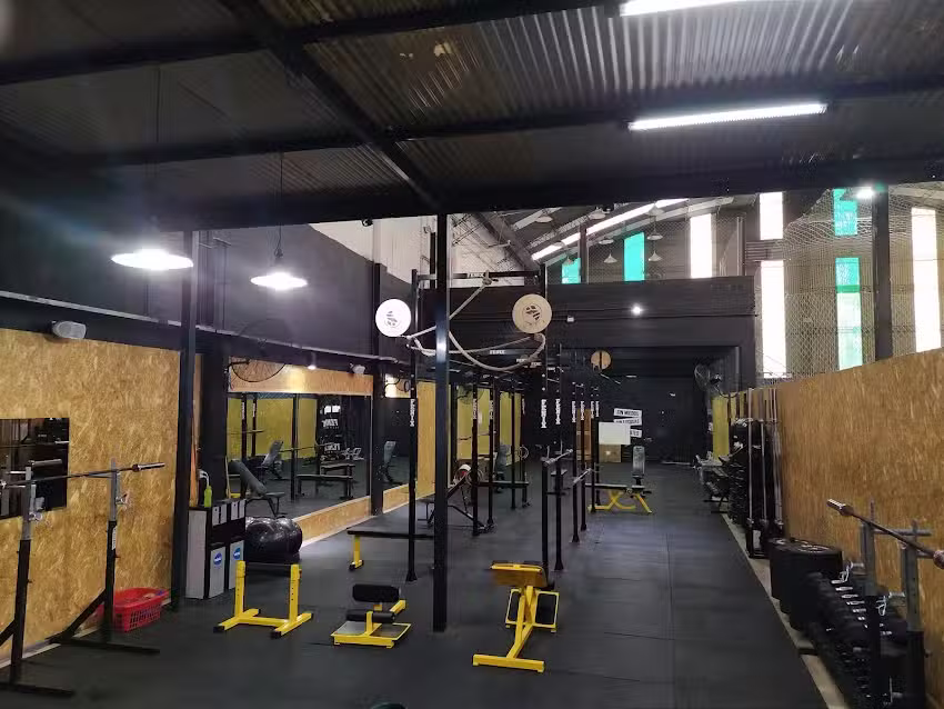 INVICTUS // SCALONETA F5