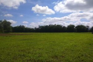 JUANO CAMP &ndash; CENTRO DEPORTIVO LOCOS X EL FUTBOL