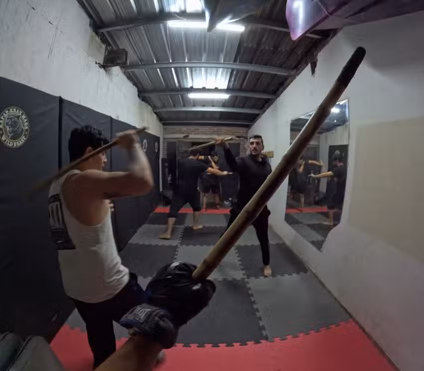 Kapap, krav maga wild beast. Z&aacute;rate