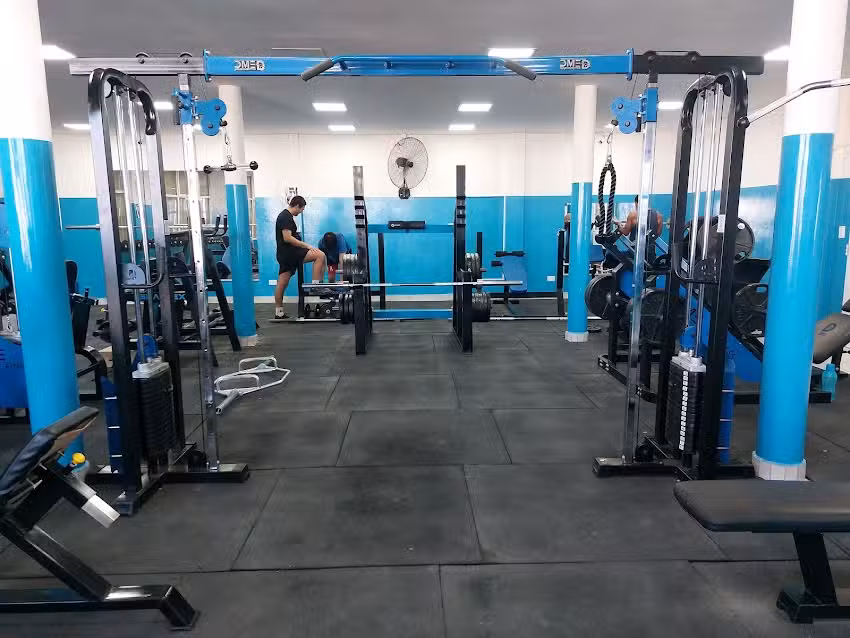 Killer Whales Gym
