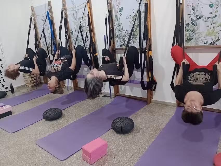 Kinefit TPA &ndash; Terapia Postural Activa