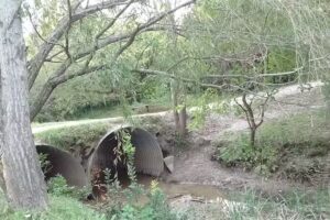 Kung fu -Sede Punta Indio