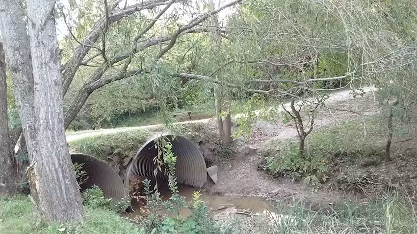 Kung fu -Sede Punta Indio