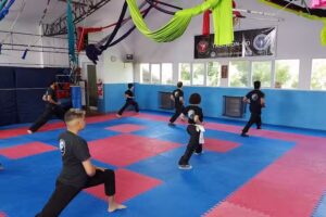 Kung fu Shaolin Norte&ntilde;o Waijia Dao