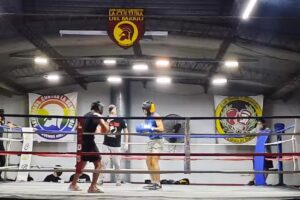 La Cultura del Barrio