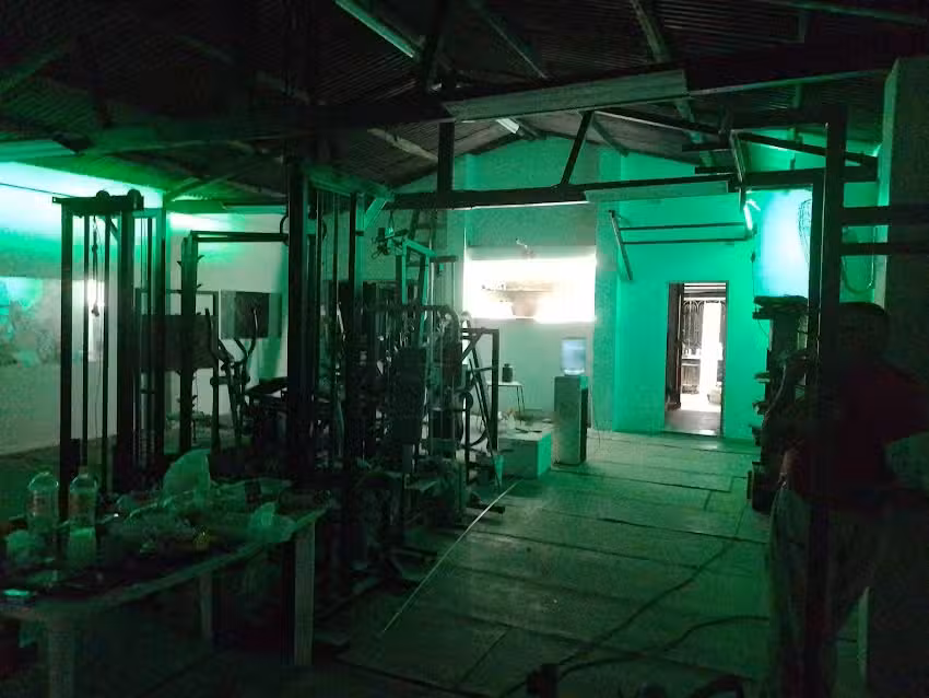 La Jungla GYM