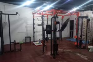 Lion gym