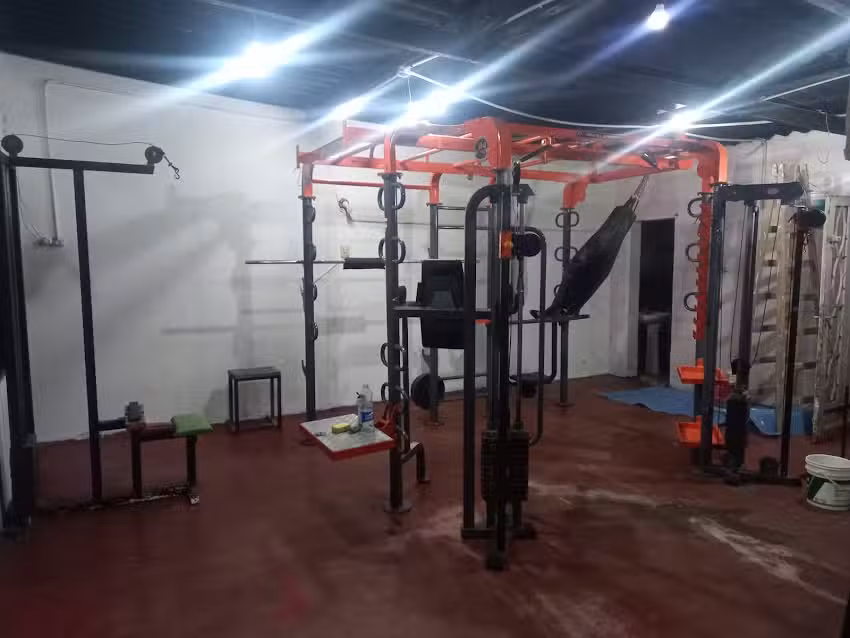 Lion gym