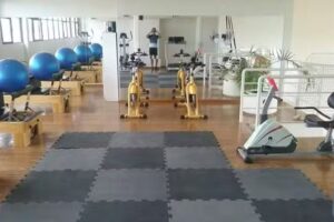 Los Girasoles Gym
