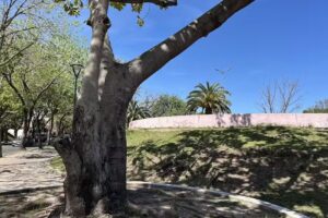 MILTON FERN&Aacute;NDEZ Boxing Camp