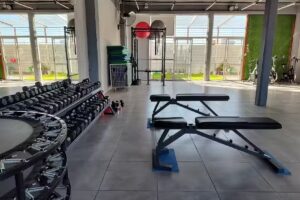 mod fitness gimnasio