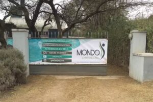 Mondo Gym