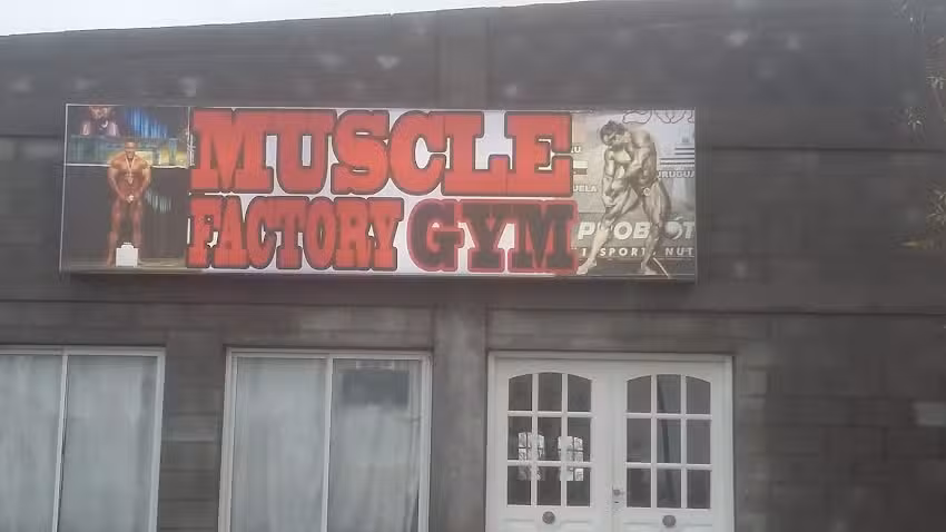 Muscle Factory Gym