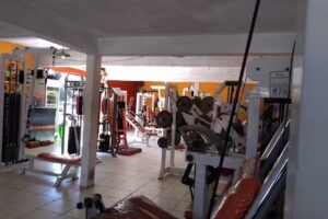 Natural Gym