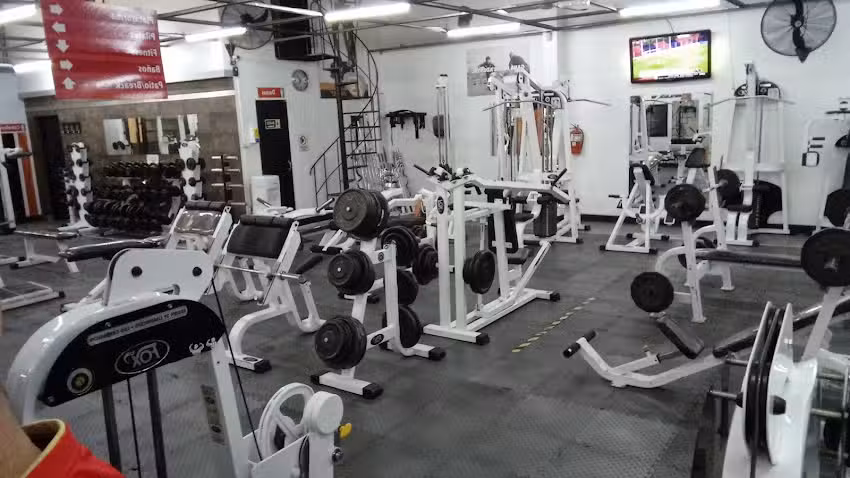 NEW FAMILY GIMNASIOS