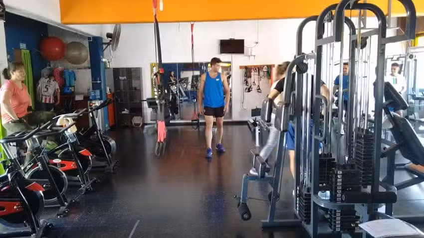 Olympus Alto Rendimiento