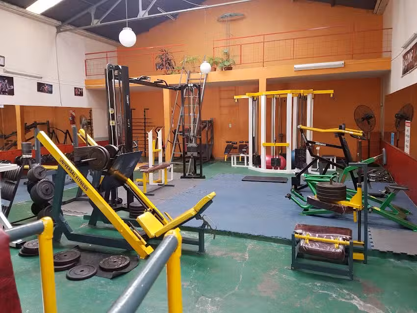 Olympus GyM