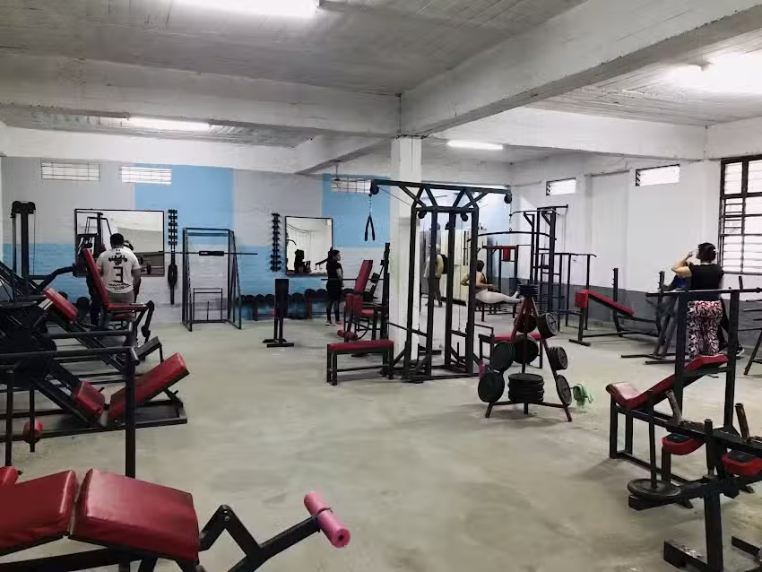 OPTIMUS GYM ( Miguel & Ely )