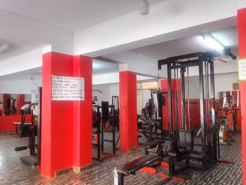 Optimus gym