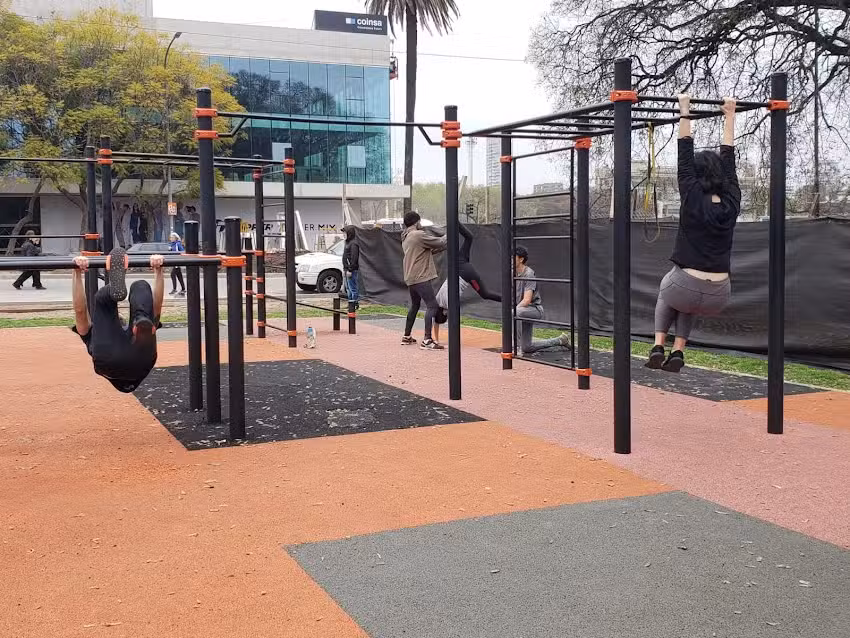 Parque de Calistenia