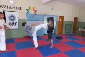 &ldquo;Pasi&oacute;n Taekwon-Do&rdquo;