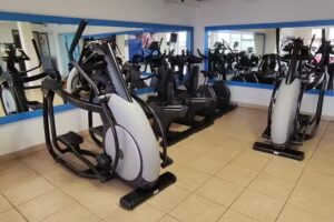 Perfil &ndash; Centro del Movimiento