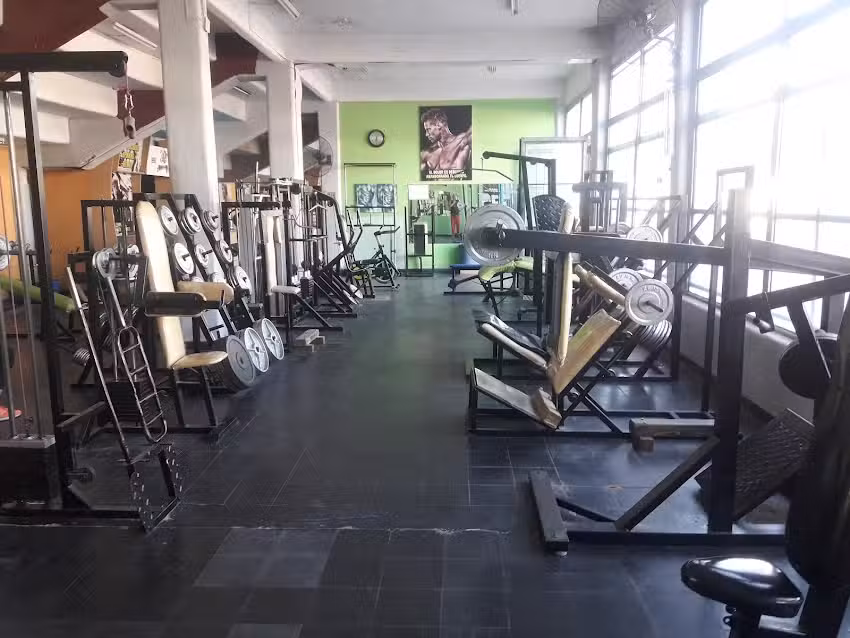 Performance Home Gym.