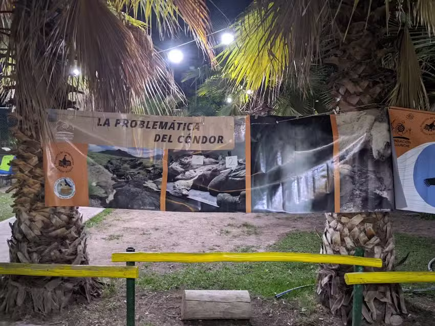 Polideportivo B&deg; Cementista