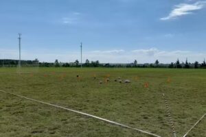 POLIDEPORTIVO BICENTENARIO