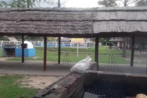 POLIDEPORTIVO MUNICIPAL