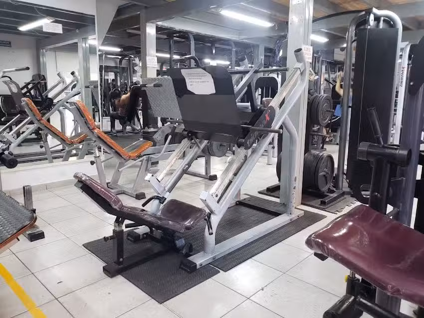 Power Trainer Fitness Club