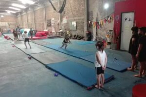 Real Gimnasia Artistica