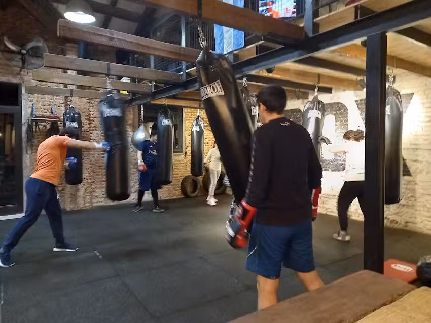 RINGO Boxeo y Artes Marciales