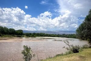 Rio De Los Sauces &ndash; Costanera Sur.