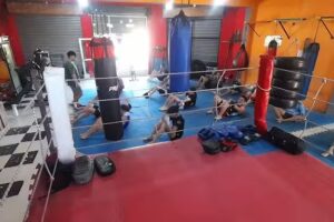 Salda&ntilde;o boxing