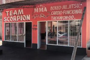 Scorpions Gym/Team