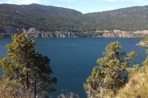 Sendero Al Bandurrias