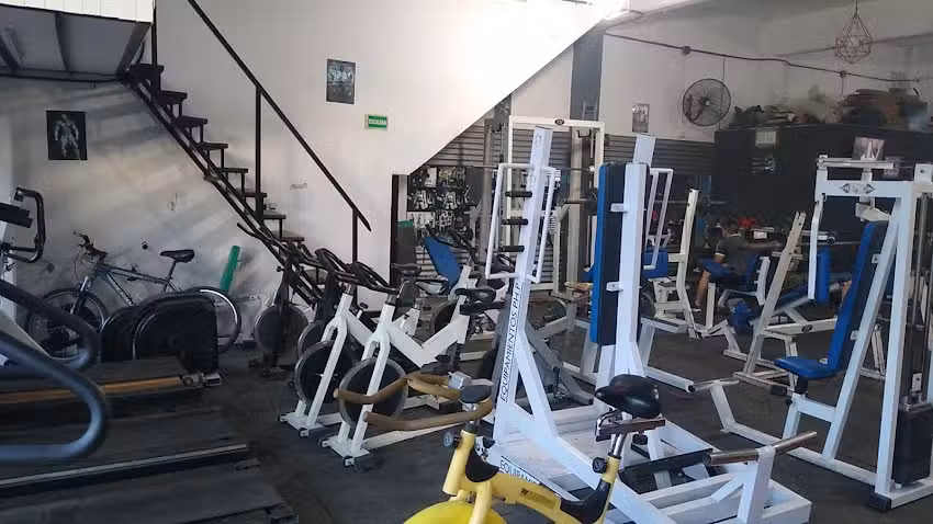 STAFF GYM