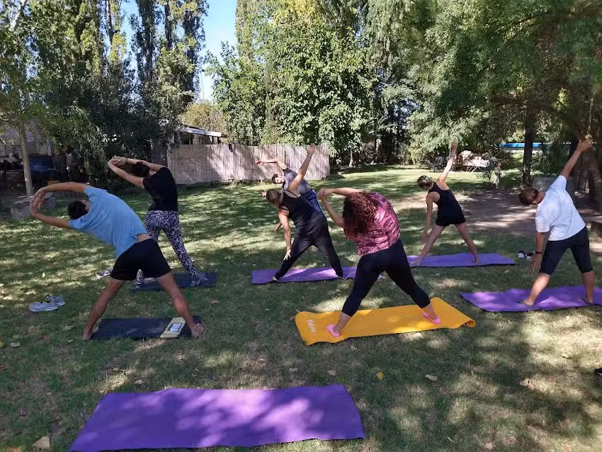 SUDDHA Escuela de Yoga