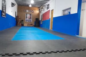 Taekwon-Do Instituto Mu Deuk Kan &ndash; Oro Kwan (Filial Burzaco)