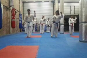 Taekwon-do Maximo Paz