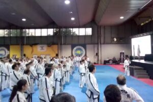 Taekwon-do TAA San Vicente
