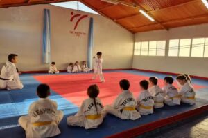 Taekwondo gim Plottier