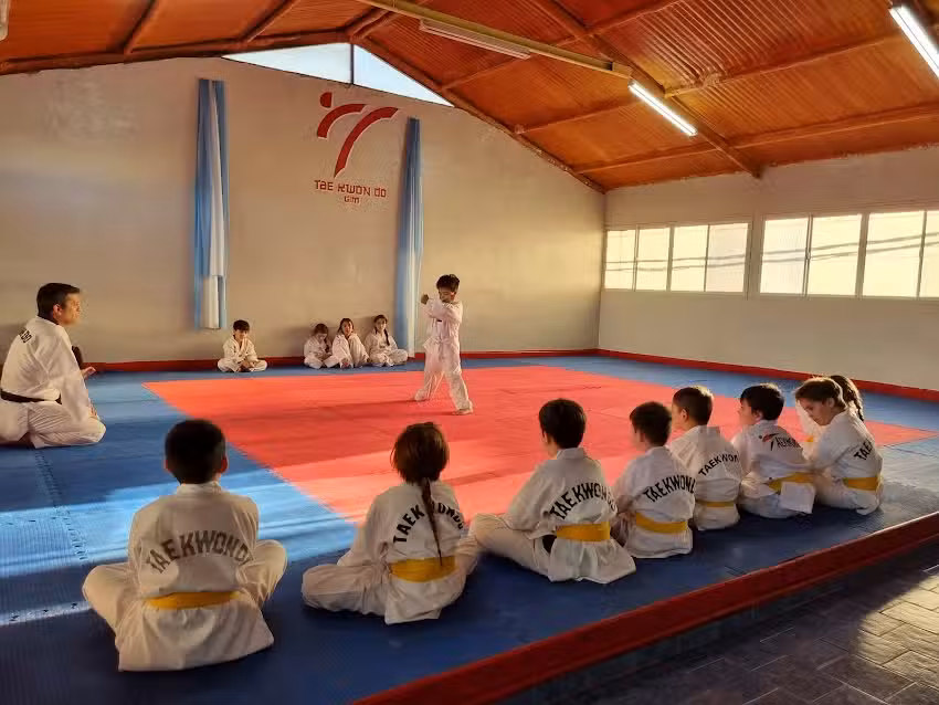 Taekwondo gim Plottier